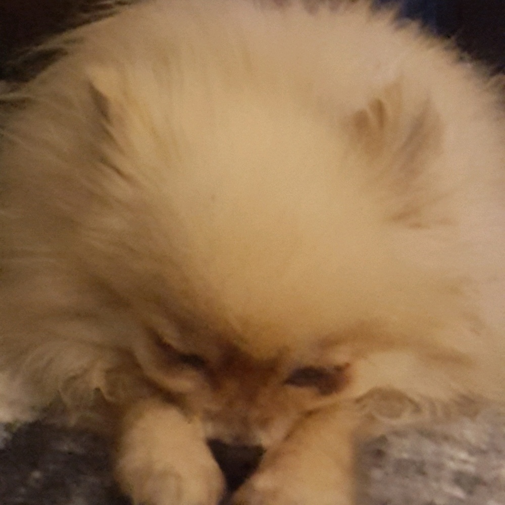 Meet your Posher, Linda